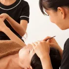 スタッフ